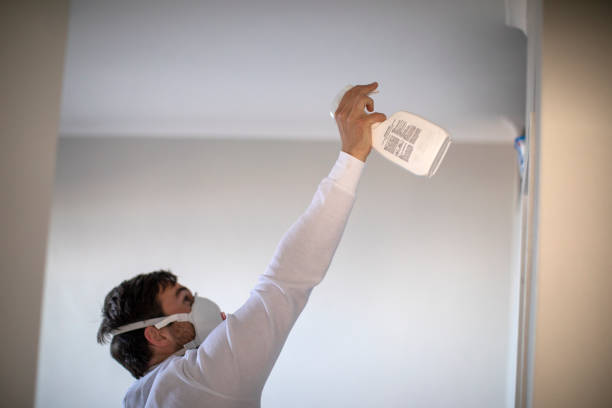 Best Attic Mold Removal  in Toledo, IA