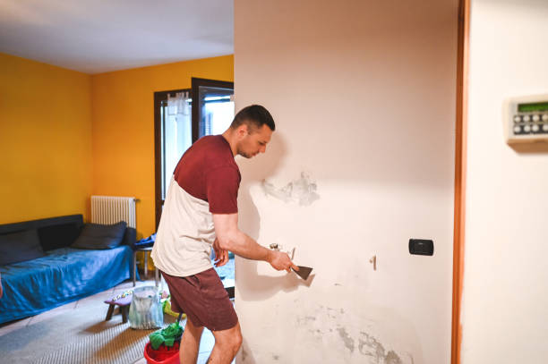 Best Mold Remediation  in Toledo, IA